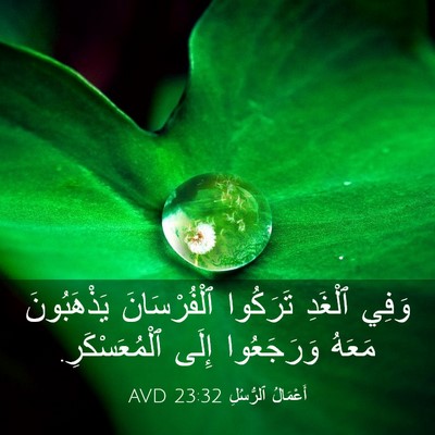 Picture 03 - أَعْمَالُ ٱلرُّسُلِ 23:32 AVD - وَفِي ٱلْغَدِ تَرَكُوا - Bible Verse Picture