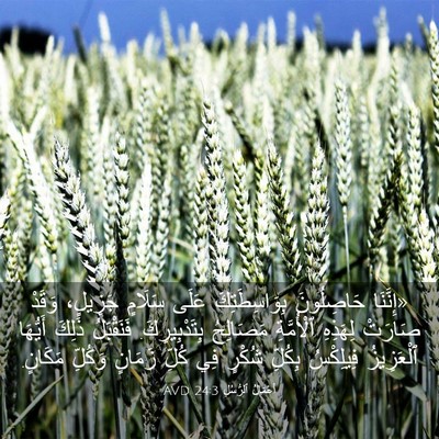 Picture 03 - أَعْمَالُ ٱلرُّسُلِ 24:3 AVD - «إِنَّنَا حَاصِلُونَ - Bible Verse Picture