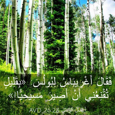 Picture 03 - أَعْمَالُ ٱلرُّسُلِ 26:28 AVD - فَقَالَ أَغْرِيبَاسُ - Bible Verse Picture