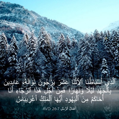 Picture 03 - أَعْمَالُ ٱلرُّسُلِ 26:7 AVD - ٱلَّذِي أَسْبَاطُنَا - Bible Verse Picture