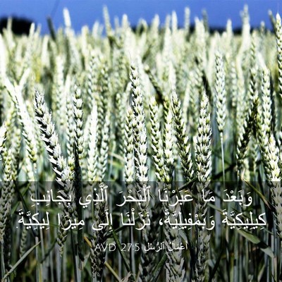 Picture 03 - أَعْمَالُ ٱلرُّسُلِ 27:5 AVD - وَبَعْدَ مَا عَبَرْنَا - Bible Verse Picture