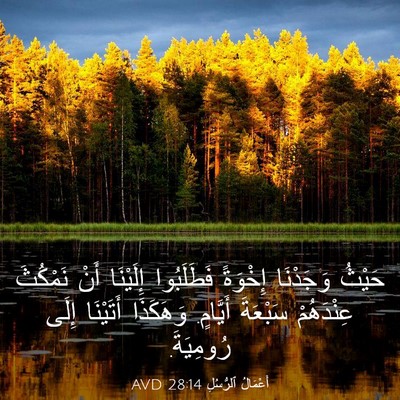 Picture 03 - أَعْمَالُ ٱلرُّسُلِ 28:14 AVD - حَيْثُ وَجَدْنَا إِخْوَةً - Bible Verse Picture