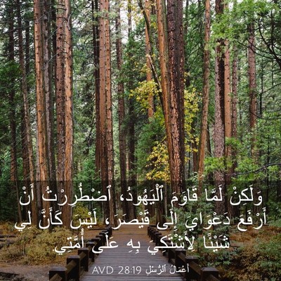Picture 03 - أَعْمَالُ ٱلرُّسُلِ 28:19 AVD - وَلَكِنْ لَمَّا قَاوَمَ - Bible Verse Picture