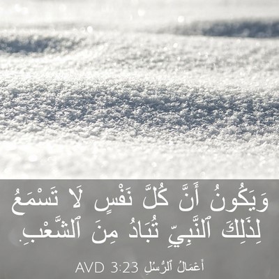 Picture 03 - أَعْمَالُ ٱلرُّسُلِ 3:23 AVD - وَيَكُونُ أَنَّ كُلَّ - Bible Verse Picture