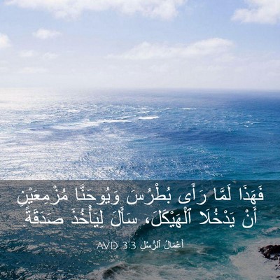 Picture 03 - أَعْمَالُ ٱلرُّسُلِ 3:3 AVD - فَهَذَا لَمَّا رَأَى - Bible Verse Picture