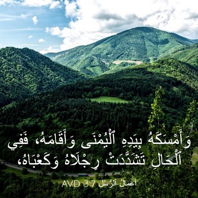 Picture 03 - أَعْمَالُ ٱلرُّسُلِ 3:7 AVD - وَأَمْسَكَهُ بِيَدِهِ - Bible Verse Picture