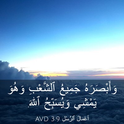 Picture 03 - أَعْمَالُ ٱلرُّسُلِ 3:9 AVD - وَأَبْصَرَهُ جَمِيعُ - Bible Verse Picture