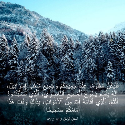 Picture 03 - أَعْمَالُ ٱلرُّسُلِ 4:10 AVD - فَلْيَكُنْ مَعْلُومًا - Bible Verse Picture
