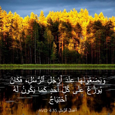 Picture 03 - أَعْمَالُ ٱلرُّسُلِ 4:35 AVD - وَيَضَعُونَهَا عِنْدَ - Bible Verse Picture