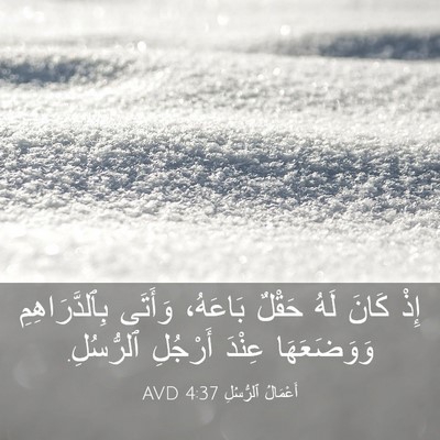 Picture 03 - أَعْمَالُ ٱلرُّسُلِ 4:37 AVD - إِذْ كَانَ لَهُ حَقْلٌ - Bible Verse Picture
