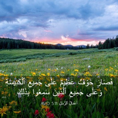 Picture 03 - أَعْمَالُ ٱلرُّسُلِ 5:11 AVD - فَصَارَ خَوْفٌ عَظِيمٌ - Bible Verse Picture