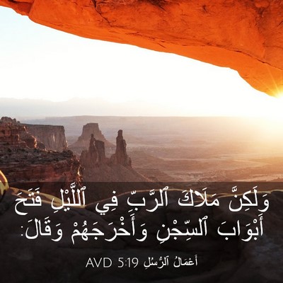 Picture 03 - أَعْمَالُ ٱلرُّسُلِ 5:19 AVD - وَلَكِنَّ مَلَاكَ - Bible Verse Picture
