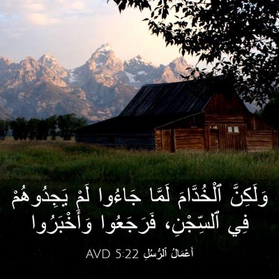 Picture 03 - أَعْمَالُ ٱلرُّسُلِ 5:22 AVD - وَلَكِنَّ ٱلْخُدَّامَ - Bible Verse Picture