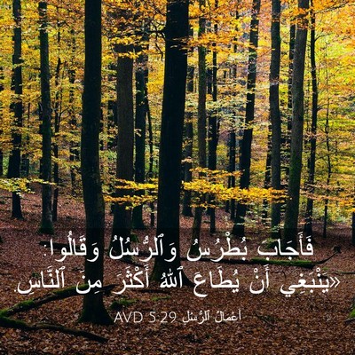 Picture 03 - أَعْمَالُ ٱلرُّسُلِ 5:29 AVD - فَأَجَابَ بُطْرُسُ - Bible Verse Picture