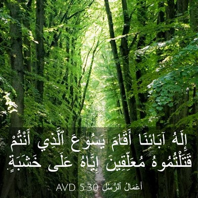 Picture 03 - أَعْمَالُ ٱلرُّسُلِ 5:30 AVD - إِلَهُ آبَائِنَا أَقَامَ - Bible Verse Picture