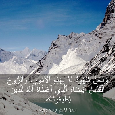 Picture 03 - أَعْمَالُ ٱلرُّسُلِ 5:32 AVD - وَنَحْنُ شُهُودٌ لَهُ - Bible Verse Picture