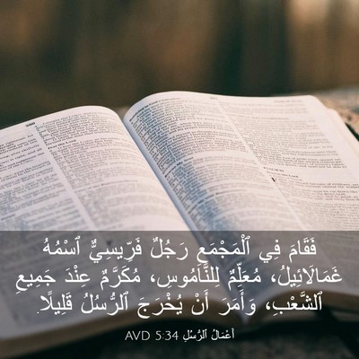 Picture 03 - أَعْمَالُ ٱلرُّسُلِ 5:34 AVD - فَقَامَ فِي ٱلْمَجْمَعِ - Bible Verse Picture