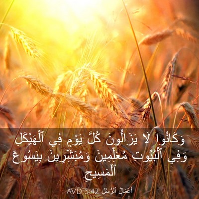 Picture 03 - أَعْمَالُ ٱلرُّسُلِ 5:42 AVD - وَكَانُوا لَا يَزَالُونَ - Bible Verse Picture