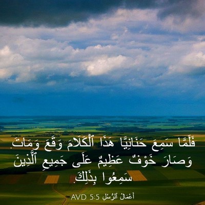 Picture 03 - أَعْمَالُ ٱلرُّسُلِ 5:5 AVD - فَلَمَّا سَمِعَ - Bible Verse Picture