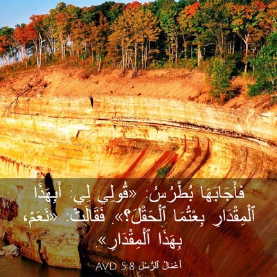 Picture 03 - أَعْمَالُ ٱلرُّسُلِ 5:8 AVD - فأَجَابَهَا بُطْرُسُ: - Bible Verse Picture
