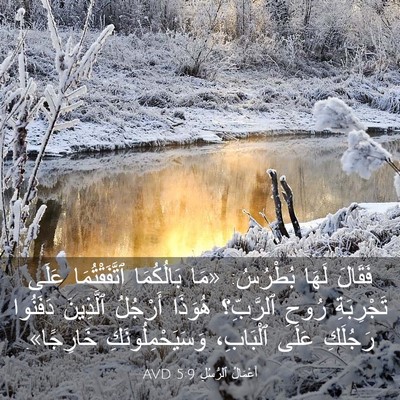 Picture 03 - أَعْمَالُ ٱلرُّسُلِ 5:9 AVD - فَقَالَ لَهَا بُطْرُسُ: - Bible Verse Picture