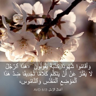 Picture 03 - أَعْمَالُ ٱلرُّسُلِ 6:13 AVD - وَأَقَامُوا شُهُودًا - Bible Verse Picture
