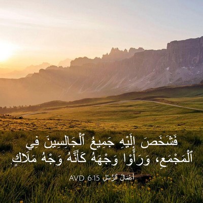 Picture 03 - أَعْمَالُ ٱلرُّسُلِ 6:15 AVD - فَشَخَصَ إِلَيْهِ جَمِيعُ - Bible Verse Picture