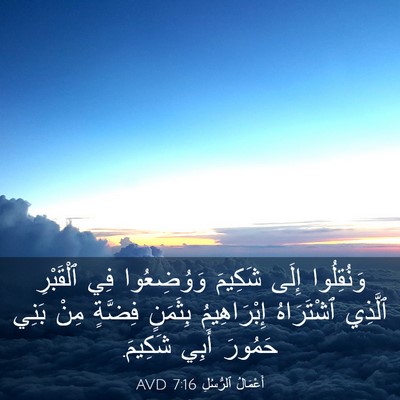 Picture 03 - أَعْمَالُ ٱلرُّسُلِ 7:16 AVD - وَنُقِلُوا إِلَى شَكِيمَ - Bible Verse Picture