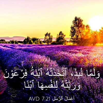 Picture 03 - أَعْمَالُ ٱلرُّسُلِ 7:21 AVD - وَلَمَّا نُبِذَ، - Bible Verse Picture