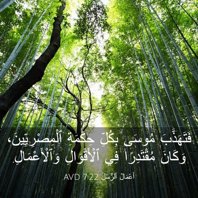 Picture 03 - أَعْمَالُ ٱلرُّسُلِ 7:22 AVD - فَتَهَذَّبَ مُوسَى - Bible Verse Picture