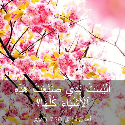 Picture 03 - أَعْمَالُ ٱلرُّسُلِ 7:50 AVD - أَلَيْسَتْ يَدِي صَنَعَتْ - Bible Verse Picture