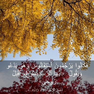Picture 03 - أَعْمَالُ ٱلرُّسُلِ 7:59 AVD - فَكَانُوا يَرْجُمُونَ - Bible Verse Picture