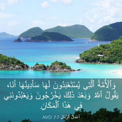 Picture 03 - أَعْمَالُ ٱلرُّسُلِ 7:7 AVD - وَٱلْأُمَّةُ ٱلَّتِي - Bible Verse Picture