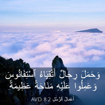 Picture 03 - أَعْمَالُ ٱلرُّسُلِ 8:2 AVD - وَحَمَلَ رِجَالٌ - Bible Verse Picture