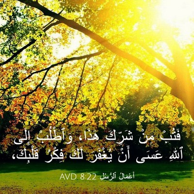 Picture 03 - أَعْمَالُ ٱلرُّسُلِ 8:22 AVD - فَتُبْ مِنْ شَرِّكَ هَذَا، - Bible Verse Picture