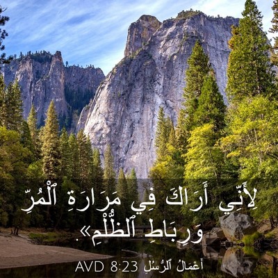 Picture 03 - أَعْمَالُ ٱلرُّسُلِ 8:23 AVD - لِأَنِّي أَرَاكَ فِي - Bible Verse Picture