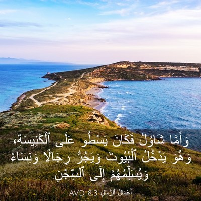 Picture 03 - أَعْمَالُ ٱلرُّسُلِ 8:3 AVD - وَأَمَّا شَاوُلُ فَكَانَ - Bible Verse Picture