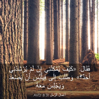 Picture 03 - أَعْمَالُ ٱلرُّسُلِ 8:31 AVD - فَقَالَ: «كَيْفَ - Bible Verse Picture