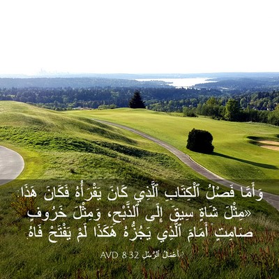 Picture 03 - أَعْمَالُ ٱلرُّسُلِ 8:32 AVD - وَأَمَّا فَصْلُ - Bible Verse Picture