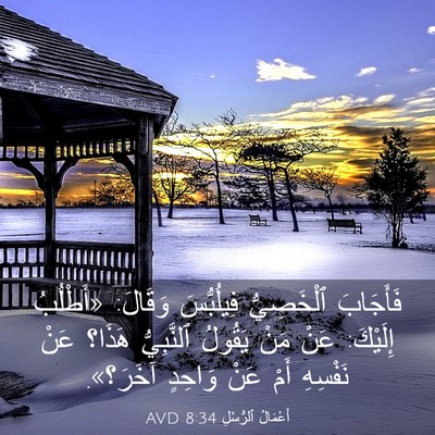 Picture 03 - أَعْمَالُ ٱلرُّسُلِ 8:34 AVD - فَأَجَابَ ٱلْخَصِيُّ - Bible Verse Picture
