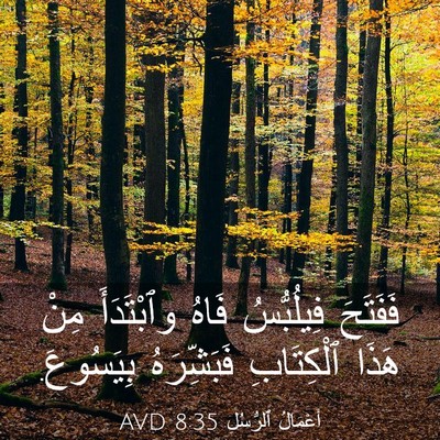 Picture 03 - أَعْمَالُ ٱلرُّسُلِ 8:35 AVD - فَفَتَحَ فِيلُبُّسُ فَاهُ - Bible Verse Picture