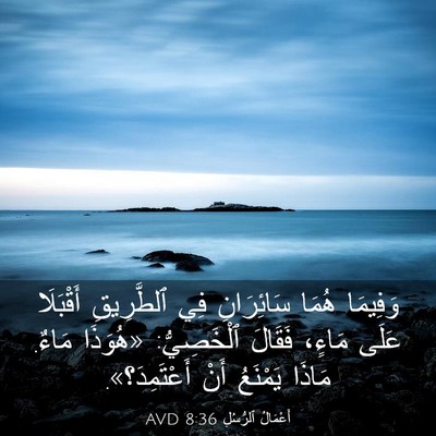 Picture 03 - أَعْمَالُ ٱلرُّسُلِ 8:36 AVD - وَفِيمَا هُمَا سَائِرَانِ - Bible Verse Picture