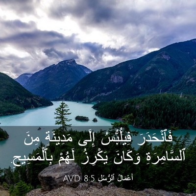Picture 03 - أَعْمَالُ ٱلرُّسُلِ 8:5 AVD - فَٱنْحَدَرَ فِيلُبُّسُ - Bible Verse Picture