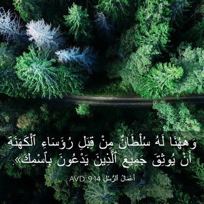 Picture 03 - أَعْمَالُ ٱلرُّسُلِ 9:14 AVD - وَهَهُنَا لَهُ سُلْطَانٌ - Bible Verse Picture
