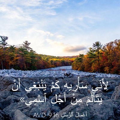 Picture 03 - أَعْمَالُ ٱلرُّسُلِ 9:16 AVD - لِأَنِّي سَأُرِيهِ كَمْ - Bible Verse Picture