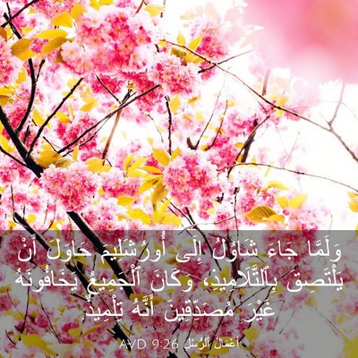 Picture 03 - أَعْمَالُ ٱلرُّسُلِ 9:26 AVD - وَلَمَّا جَاءَ شَاوُلُ - Bible Verse Picture