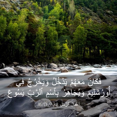 Picture 03 - أَعْمَالُ ٱلرُّسُلِ 9:28 AVD - فَكَانَ مَعَهُمْ يَدْخُلُ - Bible Verse Picture