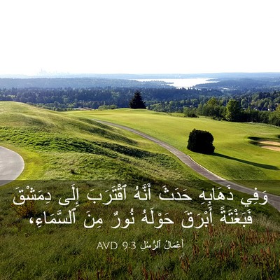 Picture 03 - أَعْمَالُ ٱلرُّسُلِ 9:3 AVD - وَفِي ذَهَابِهِ حَدَثَ - Bible Verse Picture