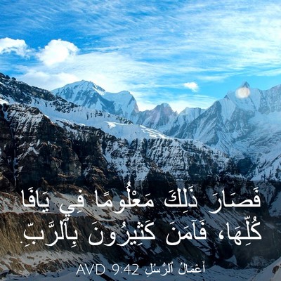 Picture 03 - أَعْمَالُ ٱلرُّسُلِ 9:42 AVD - فَصَارَ ذَلِكَ مَعْلُومًا - Bible Verse Picture