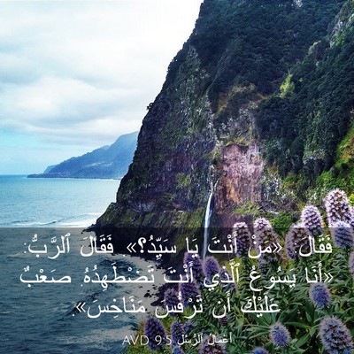 Picture 03 - أَعْمَالُ ٱلرُّسُلِ 9:5 AVD - فَقَالَ: «مَنْ أَنْتَ يَا - Bible Verse Picture